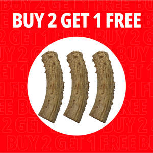 Medium Antlers