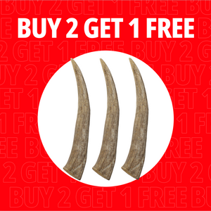 Large Antlers