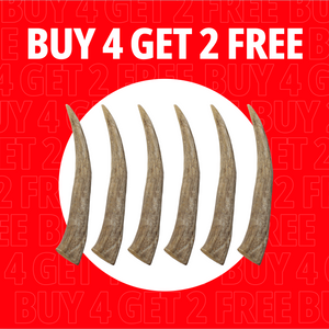 Large Antlers