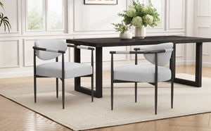 Modern Dining Chairs Set of 2 with Bronze Iron Frame
