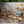 Outdoor Dining Chair Acacia Wood Frame (Set of 2)