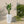 Tall Planters Set With Water Level Monitor And Auto Watering