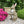 Magnesium Oxide Bunny Statue Holding Decor
