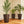 Outdoor Flower Plant Pots, Set of 3 Tall Planters with Drainage Hole