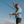 GameGuard Blue Palo Duro Polo