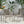 Outdoor Modern Aluminum Dining Chair Set With Rope Sea (Set of 2)
