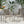 Outdoor Modern Aluminum Dining Chair Set With Rope Sea (Set of 2)