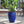 Handmade Sapphire Garden Pot