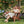 Oversize Outdoor Folding Adirondack Chair, Patio Chair For Garden