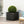 Modern Outdoor Planter