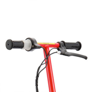 Razor E300 Adult Ride-On 24V High-Torque Motorized Electric Powered Scooter, Red