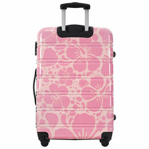 Hardshell Luggage Sets 3 Pcs Spinner Suitcase with TSA Lock