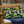 4 Pack Outdoor Pillow Covers 18x18 Inch - Toucan Paradise