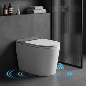 Household Luxury Intelligent Toilet