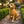 Labrador Resin Statue: Weather-Resistant Dog Figurine