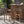 Beeson Outdoor Wicker and Acacia Wood Barstools Set, Water Resistant - Brown