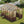 8x10 FT Greenhouse Kit