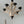 6 Light Wood Chandelier, Hanging Light Fixture With Adjustable Chain For Kitchen, Bulb Not Included - Cream
