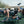 JumpSport 350 PRO 39 Inch Fitness Trampoline with Blue EnduroLast Elastic Cords