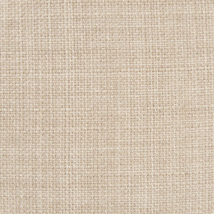 Modern Lounge Chair With Button Tufting