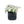 Handmade Garden Pots & Planters
