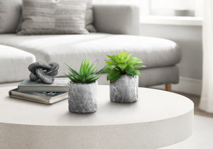 6" Tall Artificial Succulent Plants, Set of 2