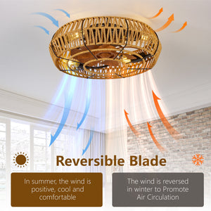 19" Caged Ceiling Fan with Lights and Remote