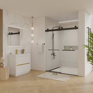 Double Sliding Frameless Soft-Close Shower Door