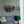 SerethaLeaf Wall Decor - Gold