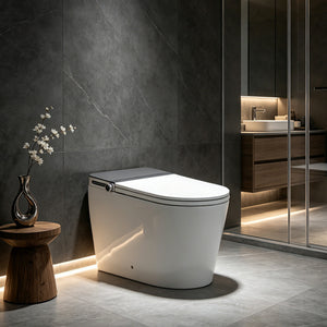 Household Luxury Intelligent Toilet