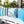 Leaf Vein - Outdoor & Indoor Set of 2