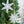 Set of 6 Iron Snowflake Hanger Christmas Tree Ornaments