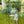 Metal Garden Arch Iron Pergola