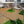 Patio Deck Tiles, Pack Of 22