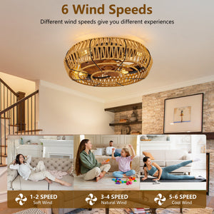19" Caged Ceiling Fan with Lights and Remote