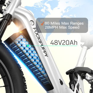 Boxer ST Ebike