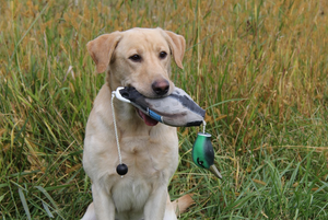 HuntEmUp Premium Duck Dog Training Dummy Mallard Bumper for Retrievers