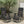 2 Pieces Folding Patio Rattan Zero Gravity Lounge Chair-Brown