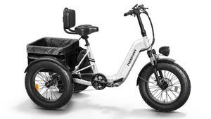 Husky Plus Etrike
