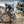 Labrador Pro Ebike