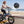 Dachshund Ebike