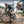 Labrador Pro Ebike