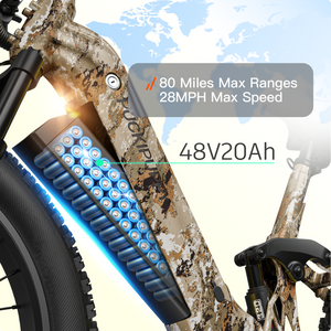 Boxer ST Ebike