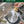 Dish Washing Brush - TRAPSKI