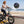 Dachshund Ebike