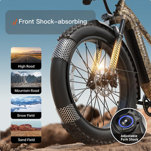 Beagle 2 Ebike