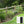 Vinyl Coated Hardware Cloth, Welded Wire Fence For Poultry And Home Improvement - Black