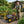 Steel Garden Cart, Heavy Duty 1400 lbs Capacity