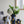 8.5x8.5x14 White Two-Tiered Ceramic Vase with Gold Bird Accents