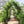 Metal Garden Arch with Adjustable Width for Climbing Plants